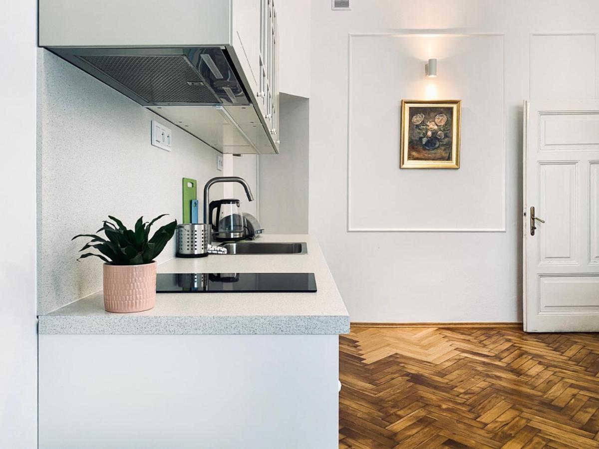 Beautiful Apartment With Two Rooms, Cracow Old Town 克拉科夫 外观 照片