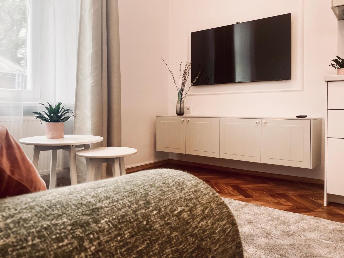 Beautiful Apartment With Two Rooms, Cracow Old Town 克拉科夫 外观 照片